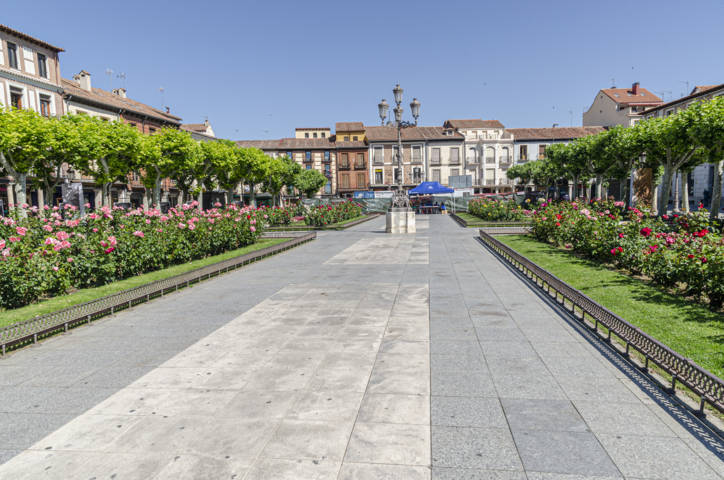 22 - Comunidad de Madrid - Alcala de Henares - plaza de Cervantes